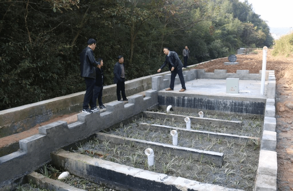 乡村振兴一线忙