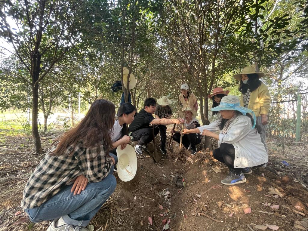 春风十里，“植”此青绿——林学与园林学院开展公益植树活动